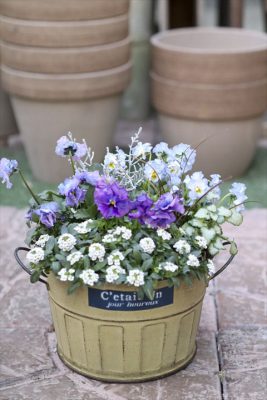 写真 2026-02-11 16 53 27_R_1