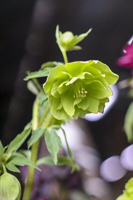 写真 2026-02-26 16 25 48_R_1