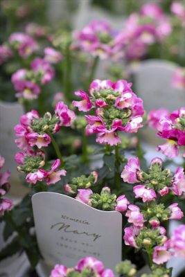 写真 2026-02-16 15 46 27_R_1