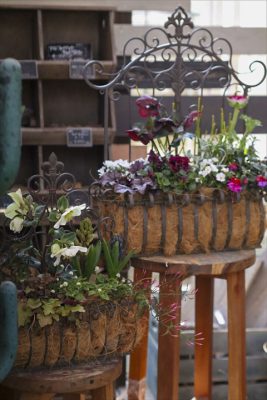 写真 2026-02-12 9 44 43_R_1