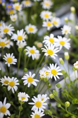 写真 2026-02-18 15 39 00_R_1