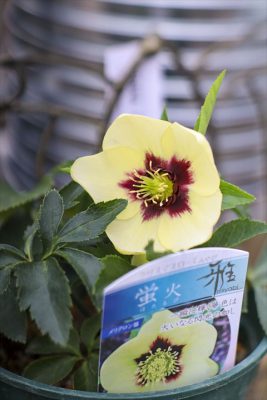 写真 2026-02-05 10 59 48_R_1