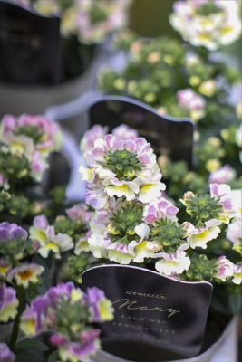 写真 2026-02-16 15 47 46_R_1