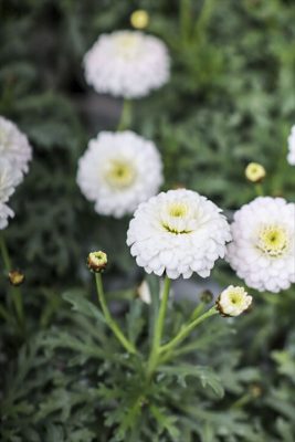 写真 2026-02-25 15 26 55_R_1