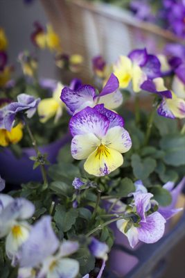 写真 2026-02-03 12 04 03_R_1