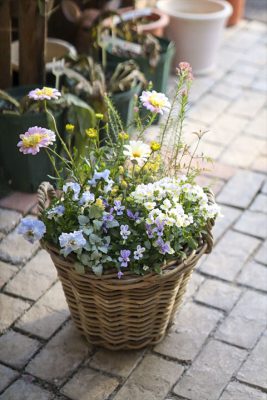 写真 2026-02-18 16 03 53_R_1