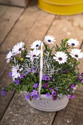 写真 2026-02-22 15 36 26_R_1