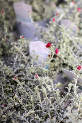 写真 2026-02-26 16 32 18_R_1