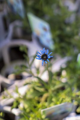 写真 2026-02-18 15 39 31_R_1