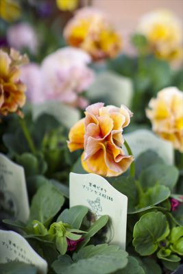 写真 2026-02-06 15 29 29_R_1