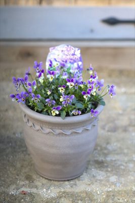 写真 2026-02-01 16 44 05_R_1