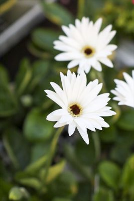 写真 2026-02-11 16 49 21_R_1