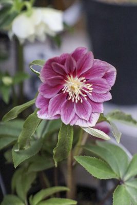 写真 2026-02-25 15 47 44_R_1