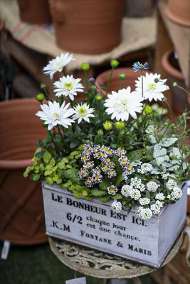 写真 2026-02-22 15 33 19_R_1