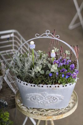 写真 2026-02-16 15 38 33_R_1