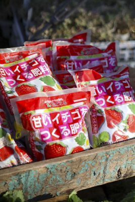 写真 2026-02-18 16 01 43_R_1