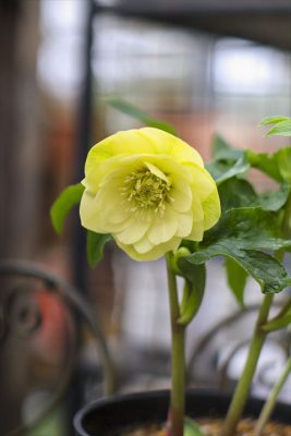 写真 2026-02-05 10 56 45_R_1