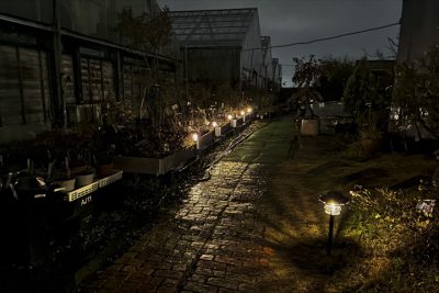 写真 2026-02-24 21 55 40_R_1