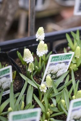 写真 2026-02-10 16 48 17_R_1