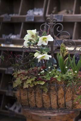 写真 2026-02-12 9 41 32_R_1