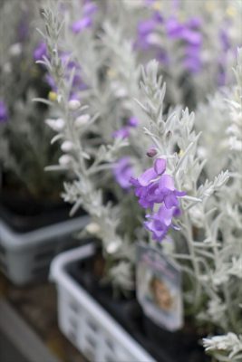 写真 2026-02-25 15 29 02_R_1