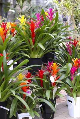 写真 2026-02-27 16 28 56_R_1