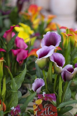 写真 2026-02-19 16 21 29_R_1