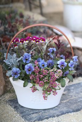 写真 2026-02-01 16 43 15_R_1