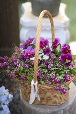 写真 2026-02-16 8 03 03_R_1