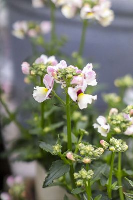 写真 2026-02-16 15 47 05_R_1