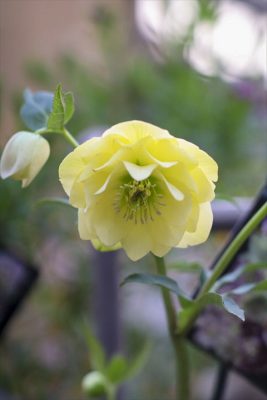 写真 2026-02-20 16 58 52_R_1