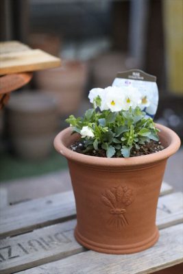 写真 2026-02-01 16 48 03_R_1