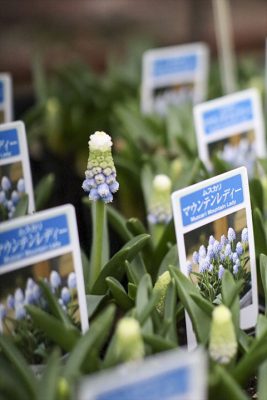 写真 2026-02-10 16 49 09_R_1