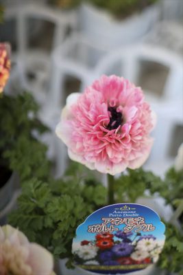 写真 2026-02-11 16 59 49_R_1