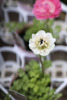 写真 2026-02-25 15 30 28_R_1