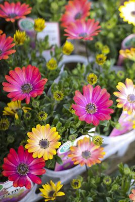 写真 2026-02-18 15 40 58_R_1