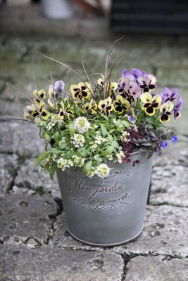 写真 2026-02-07 11 40 03_R_1