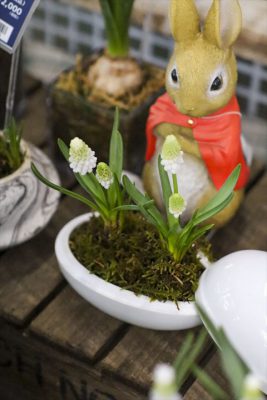 写真 2026-02-16 15 41 01_R_1