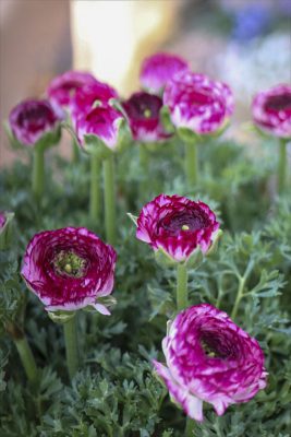 写真 2026-02-11 16 59 04_R_1