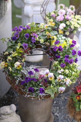 写真 2026-02-05 15 57 50_R_1