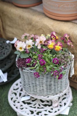 写真 2026-02-04 15 01 38_R_1