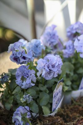 写真 2026-02-03 10 28 37_R_1