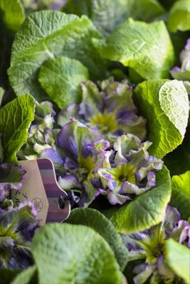 写真 2026-02-26 16 17 22_R_1