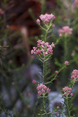 写真 2026-02-19 16 13 01_R_1