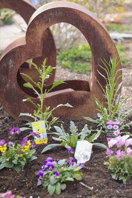 写真 2026-02-19 16 08 24_R_1