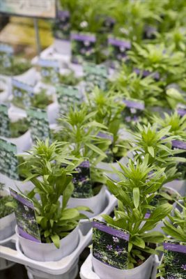 写真 2026-02-27 16 43 04_R_1