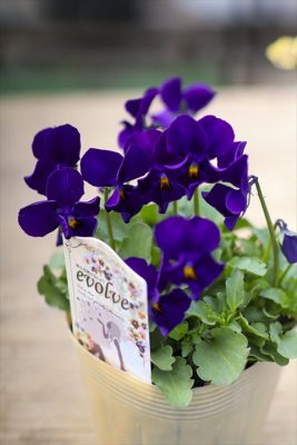 写真 2026-02-06 15 34 41_R_1