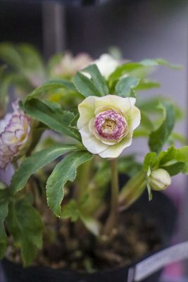 写真 2026-02-16 7 46 59_R_1