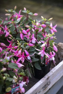 写真 2026-02-26 16 43 38_R_1