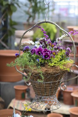 写真 2026-02-05 15 53 48_R_1